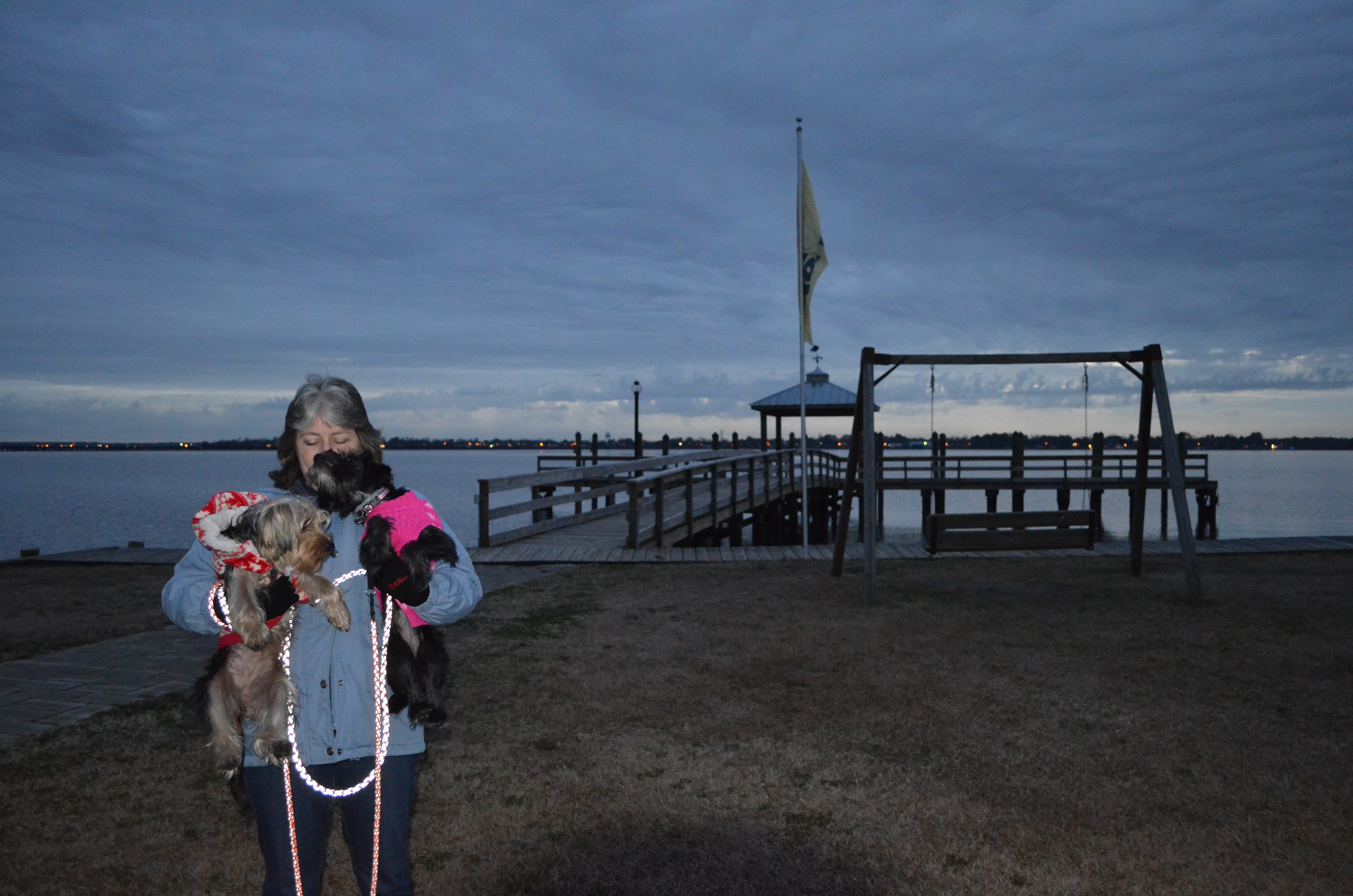 ./2017/01 - New Years/03 - KOA/DSC_0599.JPG